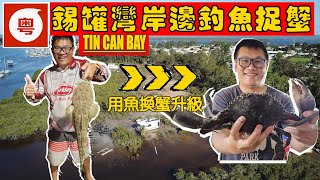 🦀🐟 【錫罐灣 TIN CAN BAY】 碼頭釣魚 + 捉蟹 期望越細•收穫越大 [粵語對白]