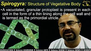 "Study of morphology, anatomy and reproductive structures of Spirogyra" with Gujarati Narrations