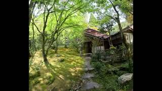 Kozanji Temple