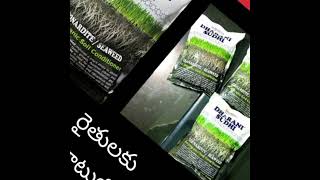 ధరణి శుద్ధి పంటలకు సంజీవని౹౹ Dharani sudhi an organic soil conditioner ౹౹ call 9110533670 6300644611