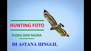 Astana Hinggil, Photography Flora Fauna