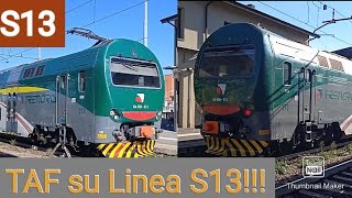 SUBURBANO LEGGENDARIO: S13 PAVIA - MILANO BOVISA - EFFETUATO DA TAF | TAF 213