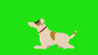 dog animation green screen video