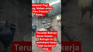 Arti dari perjuangan. Semoga selalu berkah bagi para pekerja keras... #nttpride