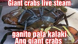 #Giant crabs live 2pcs 3.0kg #steam yummy