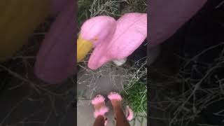 Asmr witch is Youre favrit?#asmr#geustion#autumn#backyard