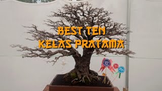 best ten kelas pratama pamnas blora 2024