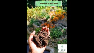 Secrets of the Soil