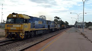 Pacific National NR's 98/62 on Freight Train and Pichi Richi Railway's NM25 Shunting