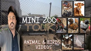 Desi Mini Zoo Tour Vlog | Animal and Birds