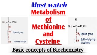 Methionine Metabolism || Homocysteine || Cysteine || Folate trap || #biochemistry