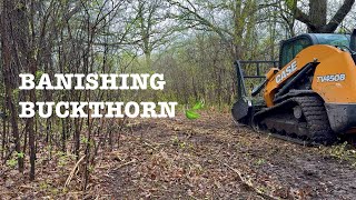 Banishing Buckthorn | Clearing Trails