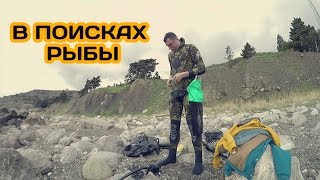 Крым 2017 / В поисках рыбы