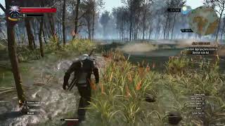 The Witcher 3 Wild Hunt Ps5 Bölüm 9