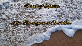 Drops of Nectar_Salvation & Bondage_#eastern #philosophy