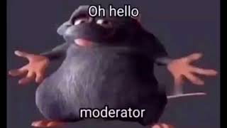 helo moderator