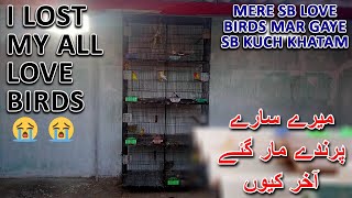 MERE SARE BIRDS KI DEATH HO GAYI 😥😥 | I LOST MY ALL LOVE BIRDS | AA BIRDS INFORMATION