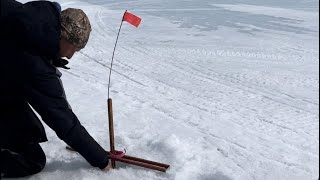 Spring fishing for lake trout Moosehead Lake Maine #icefishing