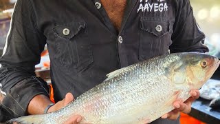 World Best Tasty Eggs!! Big Hilsa FishCutting & Collected Big Eggs In Fish Mahesh fish shop