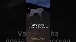 #animaisfofos #animais #animals #animal #cuteanimals #funny #animaisengraçados #fofo