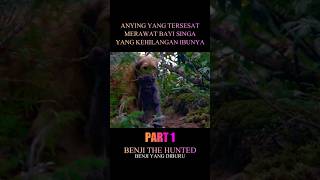 Dikira anak anying ternyata anak singa #movie