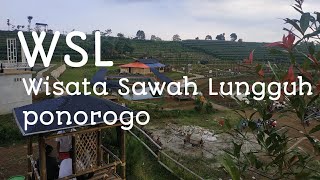 jalan jalan ke wisata sawah lungguh (WSL) ponorogo