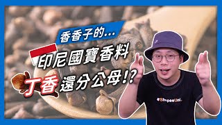 【香料QA#45】丁香還有分公母？｜挑選丁香的小秘訣｜丁香不只能放奶茶還能做成香菸？｜味旅Spices Journey