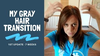 I've Decided to Go Gray!! 😄 My Gray Hair Transition Journey (1st Video)