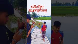 নদীর তীব্র স্রোতে চূর্ণ সেতু।গাইবান্ধার বেলকায় তিস্তা নদীর তীব্র স্রোতে সেতু ভেঙ্গে পড়েছে।গাইবান্ধা।