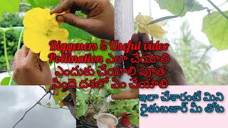 కొత్తగా గార్డెన్ start చేసిన వాళ్ళకి ఈ Tricks తెలిస్తే Experts లా గంపలు గంపలుగా కూరగాయలు పండిస్తారు