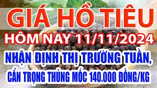 Giá tiêu hôm nay 11/11/2024: nhận định thị trường tuần, cẩn trọng thủng mốc 140.000 đồng/kg