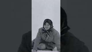 - Bedavaya kurşun atmam ben... Aç Kurtlar (1969) Yönetmen: Yılmaz Güney