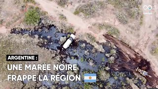 En Argentine, la province Rio Negro a été touchée par une importante marée noire