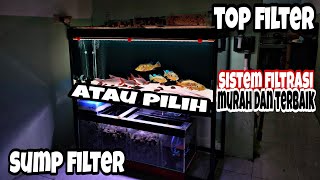 PILIH TOP FILTER ATAU SUMP FILTER || Kelebihan & Kekurangan sistem filtrasi aquarium