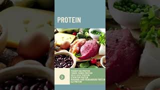 Yuk Cari Tahu tentang Protein!