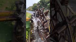 Discovering the Mechanics of Water Wheels #shorts