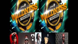 Wildness Riddim Mix: Trinidad Soca 2014