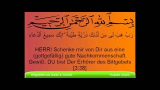 Bittgebet aus Quran und Sunna [4] - Zakariyas Bittgebet für Nachwuchs