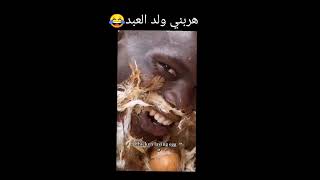 ولد القلعة 😂