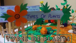 Types Of Plants Project work | Science Project work | School Project work | Kids | students | EVS