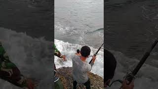 Cara Bahaya menangkap ikan GT !!!Mancing GT Ekstrim #fishing #duniamancingmania #mancing #strikegt