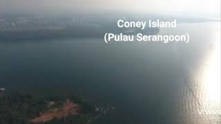 Aerial view of P. UBIN, Coney Island and its surroundings in 2016.ORI SOURCE: AIRSHIP