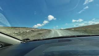 Braemar Road - Between Lake Tekapo and Lake Pukaki (30 December 2024)