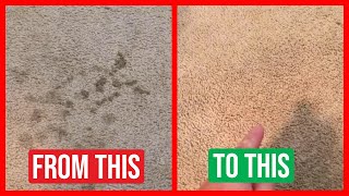 Clean any carpet stain in minutes with this solution￼