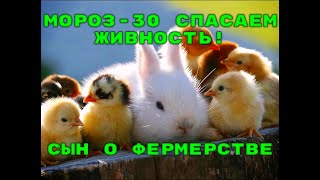 СПАСАЕМ ЖИВОТНЫХ В МОРОЗ! СЫН О ФЕРМЕРСКОЙ ПРОДУКЦИИ.