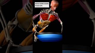 body muscles 3D Animation video Human body #shorts