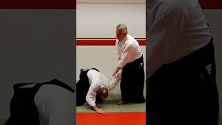 Aikido in slow motion: SANKYO (KOTE HINERI), by Stefan Stenudd