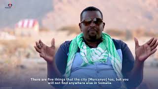 Shan shay oo ay Degmada Murcanyo ee Puntland laga helo oo meel kale Somaliya ka tirsan laga helin