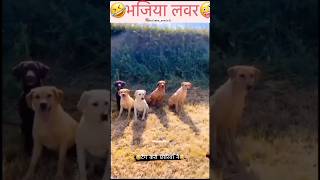 लड़कियों की इसी बेजती🥵 आज तक किसी ने नही की होगी 😂😎#comedy #tiktok #funny #comedyvideos #badmafia