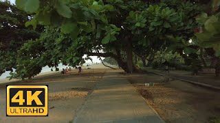 4K Sanur Beach Denpasar Bali Walking Tour | DJI Pocket 2 Footage